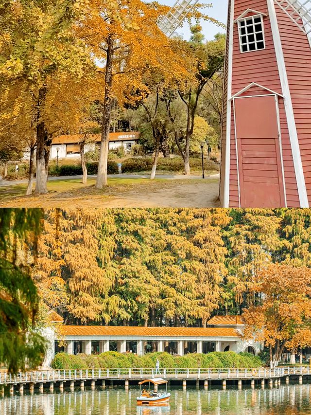 聽勸！！下月解放公園長這樣，一定要來。
