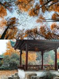 聽勸！！下月解放公園長這樣，一定要來。