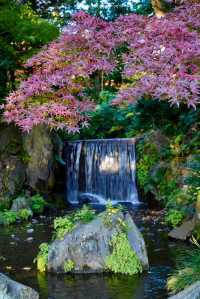 東京賞秋｜最後4天，這個精美的日式庭院不僅有紅葉