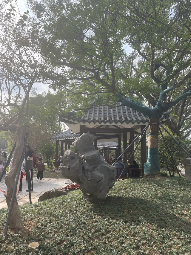 深圳龍華公園又對外開放啦！