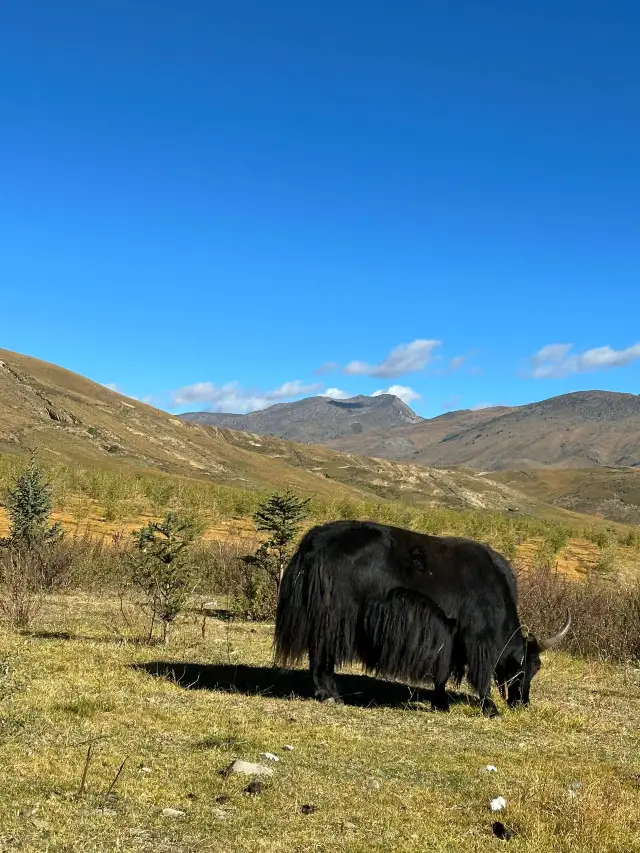 Meishan Hot Springs Guide: Don't Go to the Wrong Place!