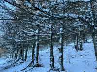 不用去哈爾濱，這裡也可以看雪景