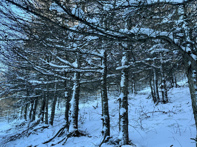 不用去哈爾濱，這裡也可以看雪景