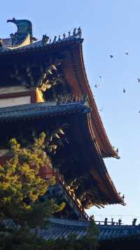 石家莊正定隆興寺 | 千年古剎的心靈之旅