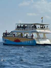 Sri Lanka | Mirissa Whale Watching Guide