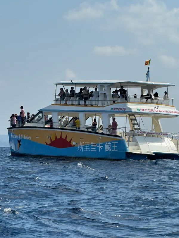 Sri Lanka | Mirissa Whale Watching Guide