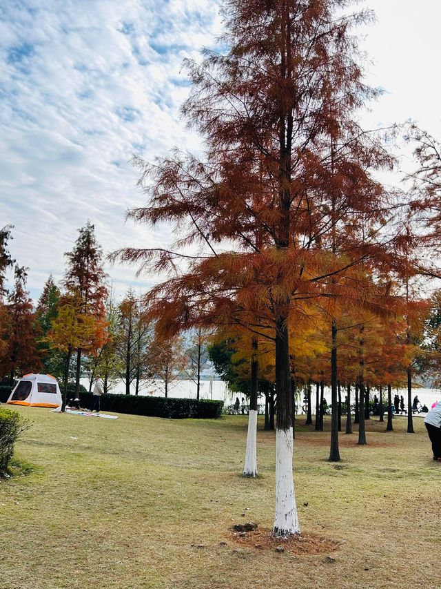 聞喜縣西湖公園|知道董澤湖嗎