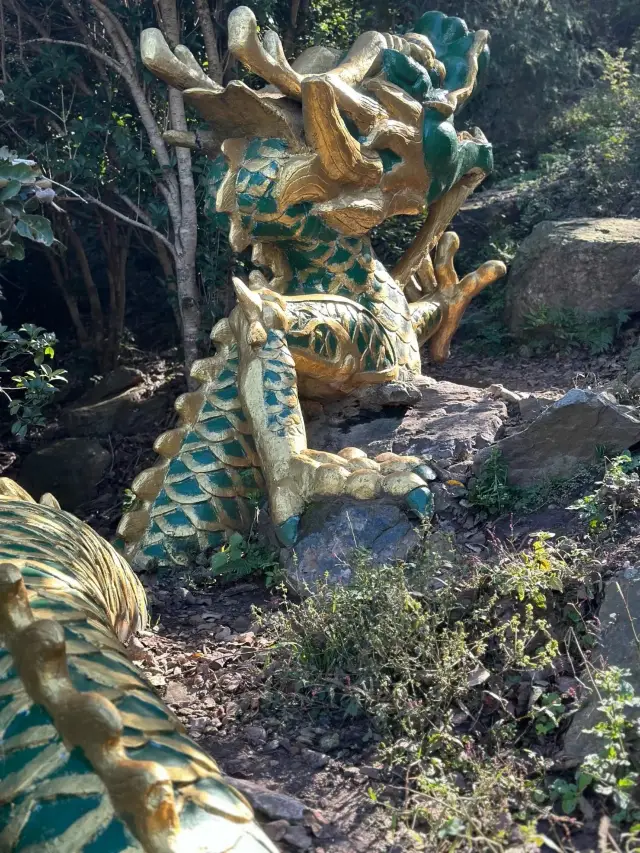 ไปเที่ยวภูเขาจื่อจินซาน