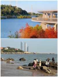 廈門之旅已完成，真的不建議1月前往
