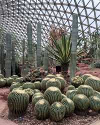 辰山植物園，邂逅自然之美