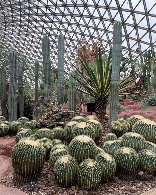 辰山植物園,邂逅自然之美 辰山植物園,邂逅自然之美