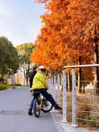 浦東濱江的Cityride，多少次都騎不夠