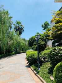 邂逅盤龍山莊，靜享悠然時光