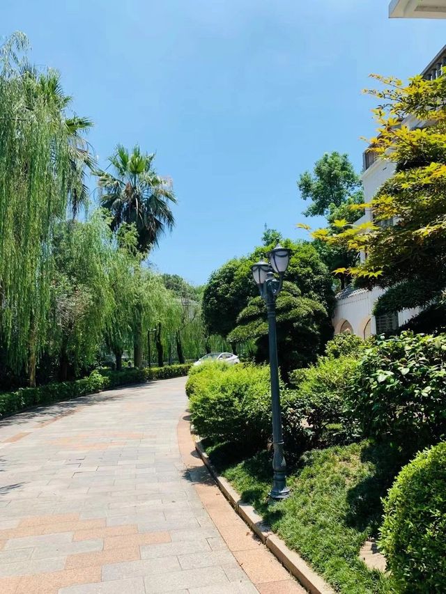 邂逅盤龍山莊，靜享悠然時光