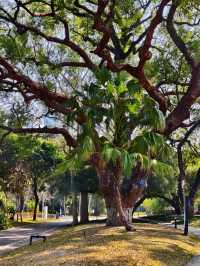 廣西北海市的中山公園