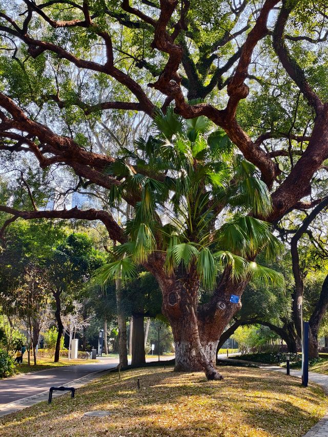 廣西北海市的中山公園