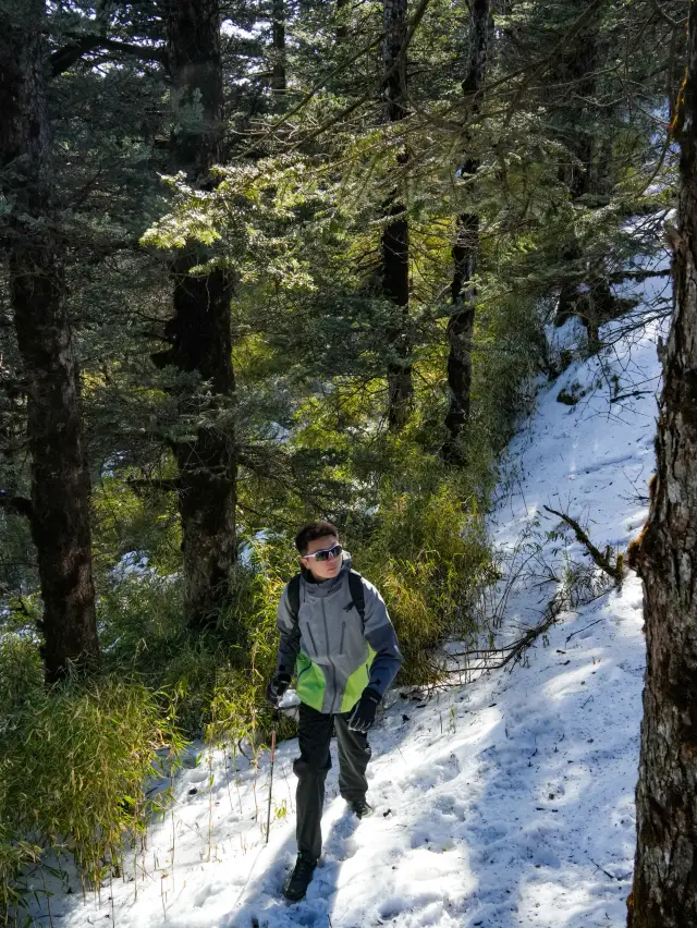 The snow-capped mountains are stunning!