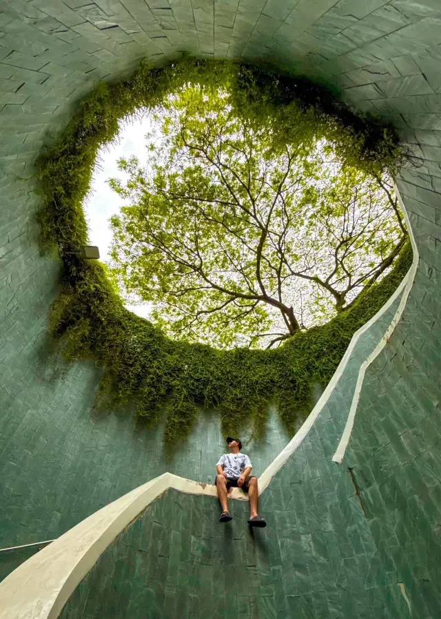 Singapore Travel Check-in Guide