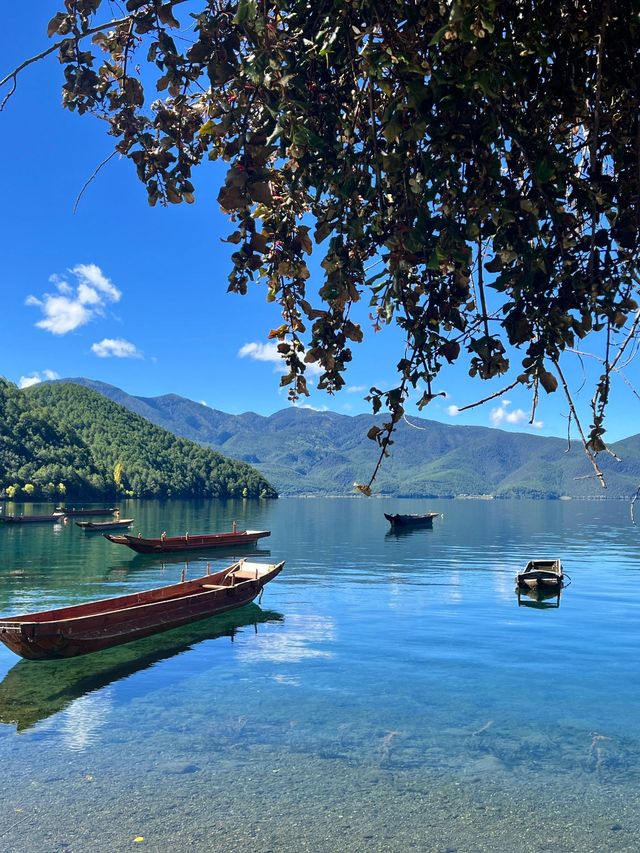 春節麗江-香格里拉-瀘沽湖老年人的旅行天堂