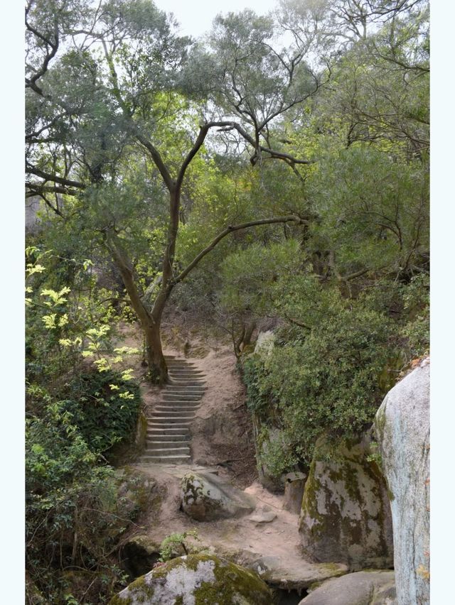 廈門萬石植物園丨跨越山海，我們頂峰相見