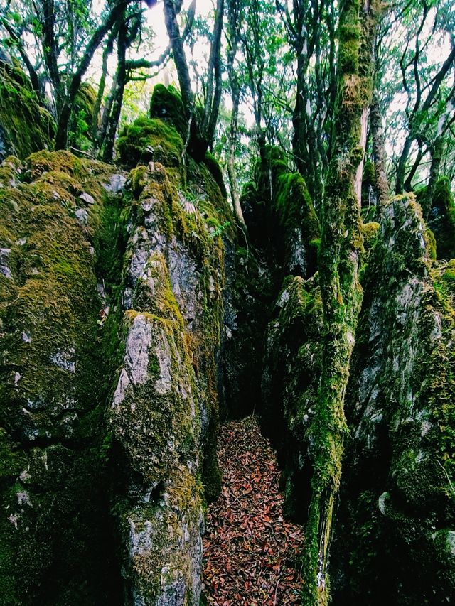 Jindaoxia Adventure: A Trilling Canyone World