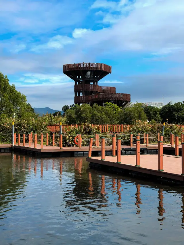 珠海市芒洲濕地公園的自然之美#