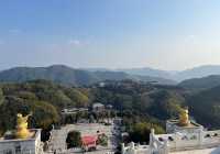 浙江會稽山兜率天景區，按生肖免費！