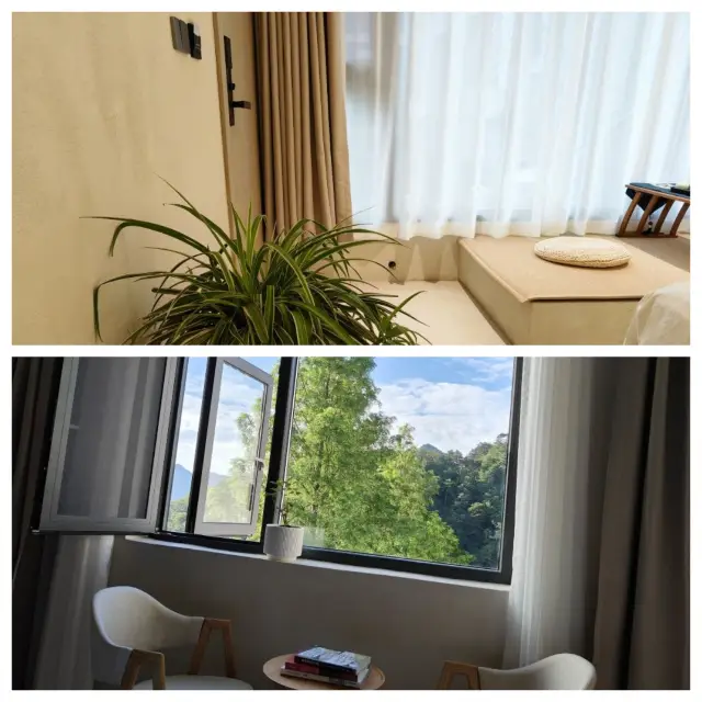 Spring Escape Plan | Stay at a Hidden Gem Homestay in Wudang Mountain