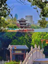 惠州旅遊，全程唔會出錯。