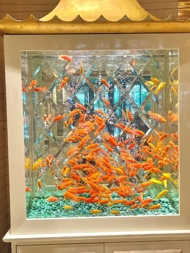 澳門永利皇宮發財魚缸打卡路線