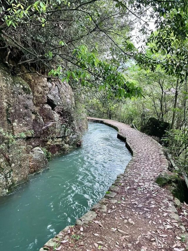 人少景美｜雨季一定要來走一趟馬嶺古道
