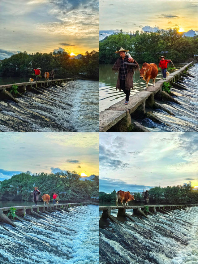 縉雲仙都。難怪唐僧師徒來了都要流連忘返
