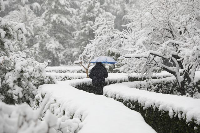 春雪銀裝素裹，宛如畫卷。