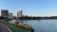 上海嘉定週末遊：湖光與藝術的浪漫邂逅