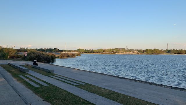 上海嘉定週末遊：湖光與藝術的浪漫邂逅