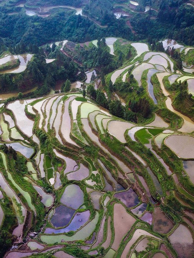 入住春意盎然嘅【夏山民宿】