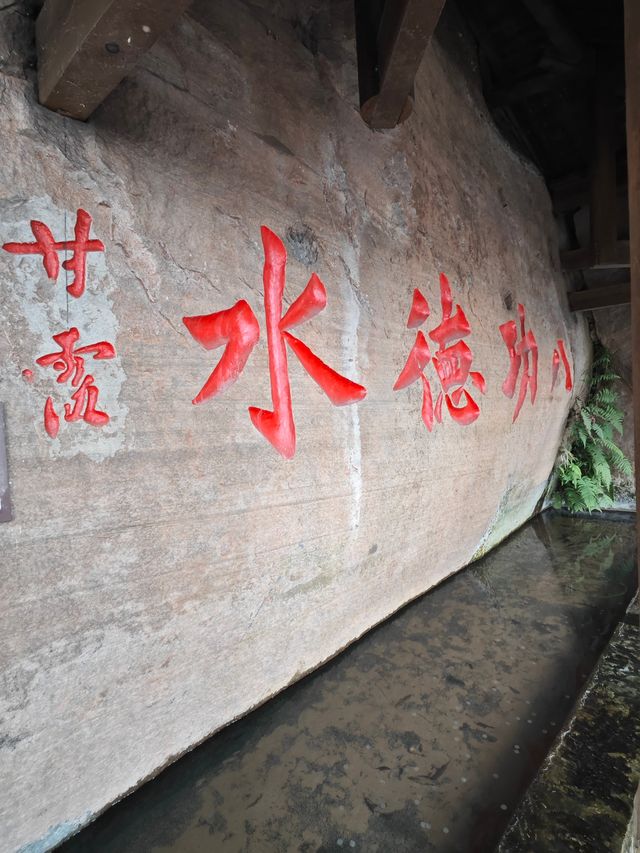 瀘州金龍寺：禪意間的心靈歸途