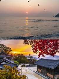 探索韓國襄陽，解鎖小眾寶藏地的驚喜密碼