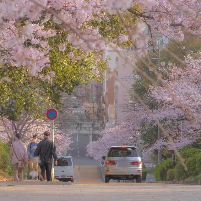 🌸2025福岡賞櫻攻略 | 本地人的私藏推介✨