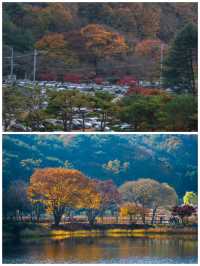 【寶藏小眾地】韓國清州，原來這麼好玩！