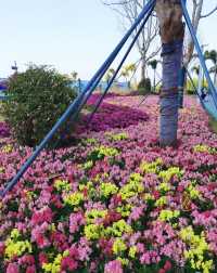 淡季城市輕旅行 | 前海石公園Citywalk全攻略 ——解鎖深圳西岸的橘子海與摩天輪浪漫 