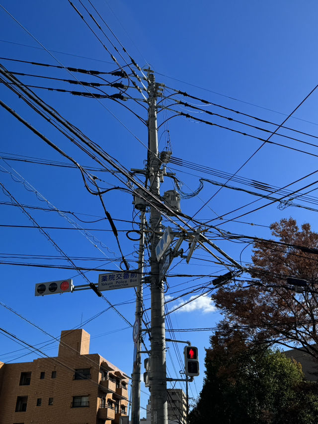藥院車站與周邊景點一日遊：福岡的悠閒與文化探索🚉🌳