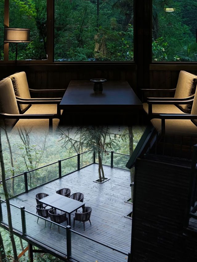 成都入住森林小屋