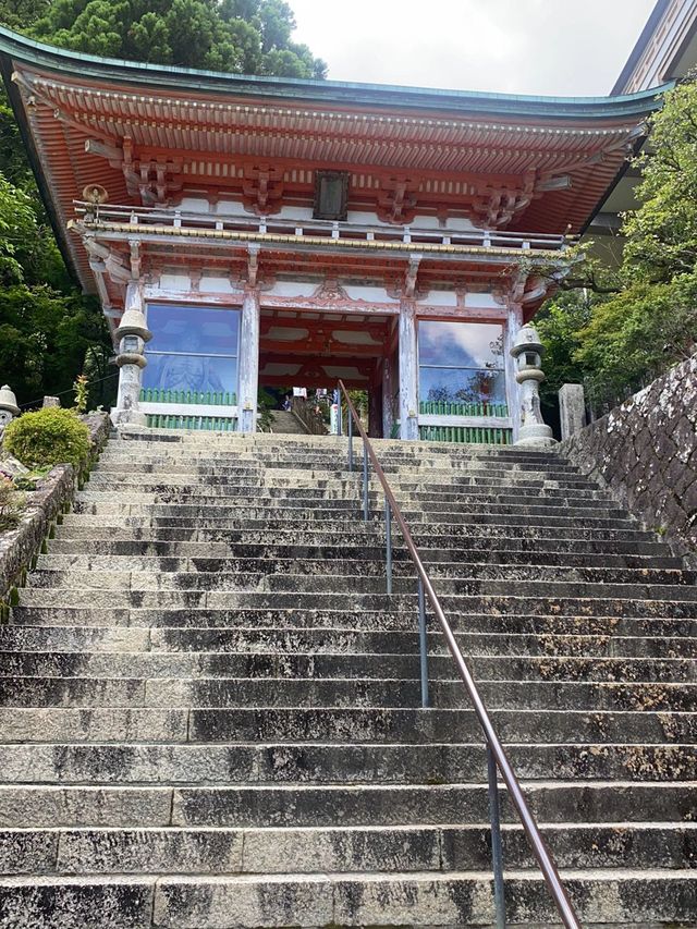 5日玩轉日本 清明出遊正當時