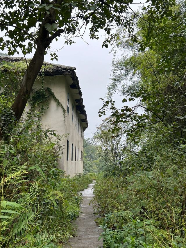 清明2日湘西遊 土家族苗族自治州別錯過
