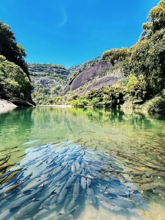 3-Day Nanping Tour for Your Short Holiday: Unique Scenery Awaits!