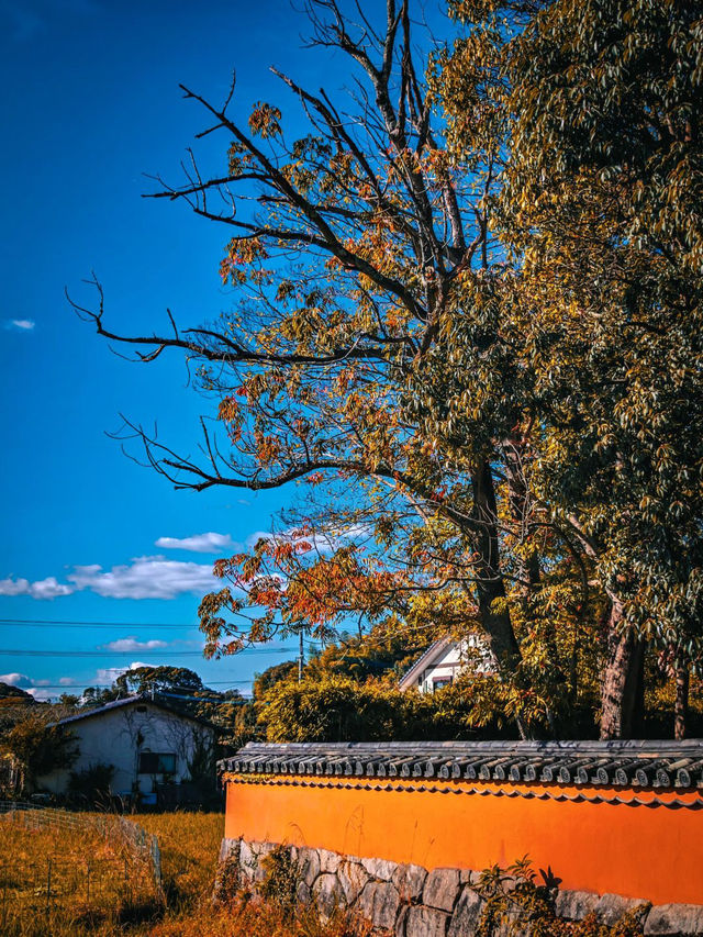 太宰府天滿宮，超級靈氣的學霸聖地✨