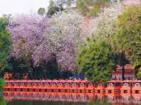 越秀公園，超級好玩的廣州城市綠洲✨