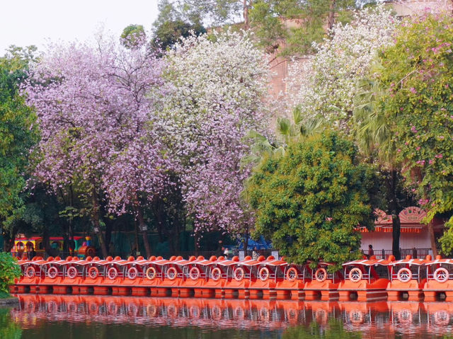 越秀公園，超級好玩的廣州城市綠洲✨