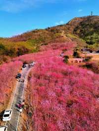 探索冶父山：追尋山林間的古韻遺風